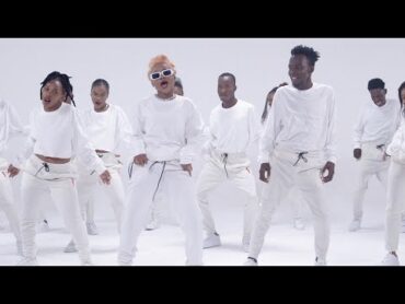 Zuchu  Nyumba Ndogo (Official Dance Video)