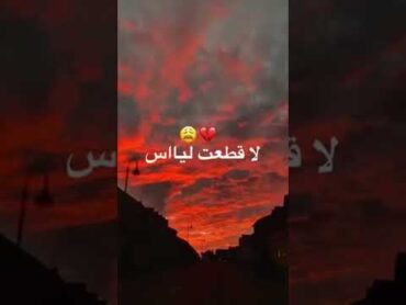 شاب عقيل عمره ما نساك البال