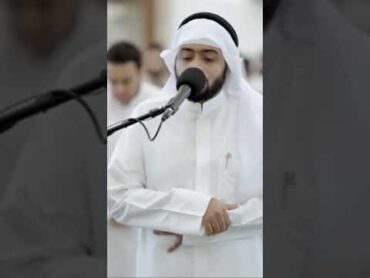 الشيخ أحمد النفيس من سورة الكهف