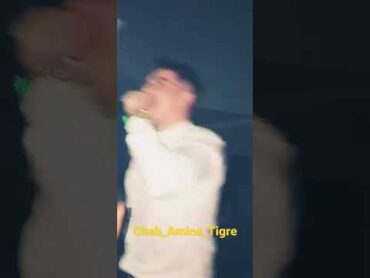 Cheb Amine Tigre live 2022