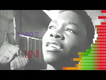 Nardo tz  Lini(official audio song)