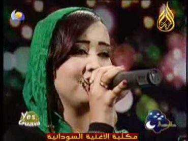 نادر ورماز  ياطير يا ماشي لي اهلنا  اغاني واغاني2011