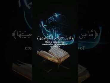 Quran is best book of worldlslmic islamictext unfrezzmyaccount foryou