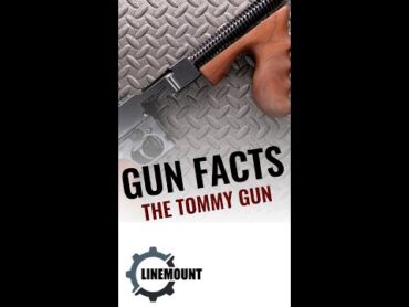 Gun Facts: Tommy Gun shorts Tommygun