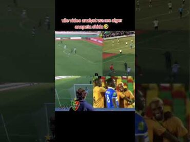 YANGA Vs MC ALGER, VIDEO ANALYST ANAPATA SHIDA SANA🤣football caf simbasc yangasc funny