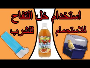 طريقة استخدام خل التفاح الطبيعي للطيور