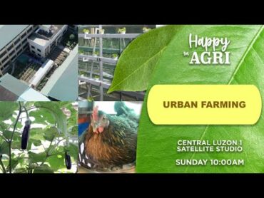 Urban Farming  Happy sa Agri  January 26, 2025