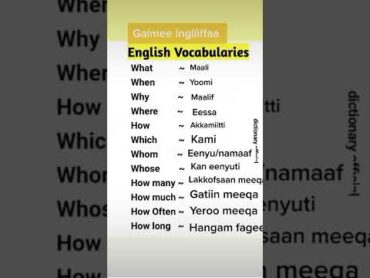 English vocabularies meaning to afaan oromoo