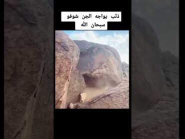 مواجهة الجن = مع الذيب