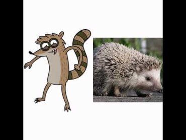 شخصيات العرض العادي في الحقيقة regular show characters in real life