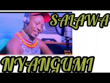 NYANGUMI SALAWAUJUMBE WA MGANGA NYAMIJIPRD BY MBASHA STUDIO.mp3