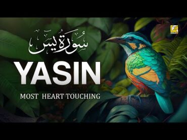 World&39;s most beautiful Quran recitation of Surah Yasin (Yaseen) سورة يس  Zikrullah TV