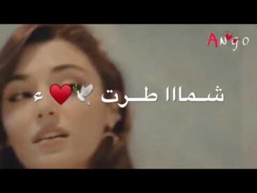 يا طير شما طرت مصيرك هم ترد🤨🤨❤️❤️