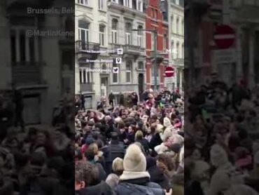 EU staff held a sitin outside of the European Commission HQ demanding a ceasefire in Gaza