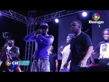 NYIMBO MPYA WHOZU FT MARIOO  VISIT BONGO ( OFFICIAL  PERFOMANCE VIDEO)