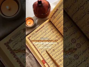 کتابی که شما رو ‼️بی نیاز میکنه از تمام کتاب ها‼️