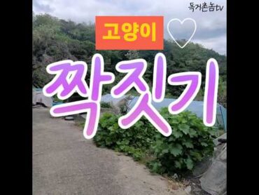 사랑은 아무나 하나?(☆19금)