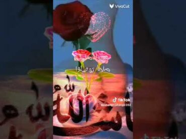 المنشد أحمد حسن صلوا صلوا حالات واتس صلوا صلواصلوا على من جاءنا