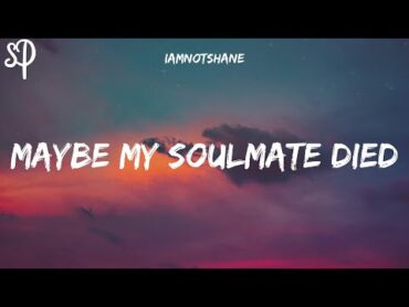 iamnotshane  Maybe My Soulmate Died (Lyrics)