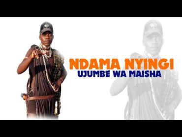 NDAMA NYINGI UJUMBE WA MAISHA BY MBASHA STUDIO 2024