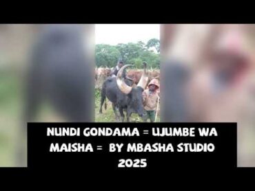 NUNDI GONDAMA = UJUMBE WA MAISHA =  BY MBASHA STUDIO 2025