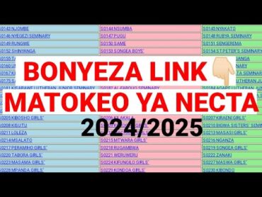 TAZAMA MATOKEO ya Kidato Cha PILI NECTA 2024/2025 Na Darasa la NNE...