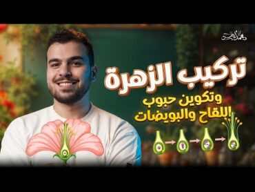 التكاثر في النباتات الزهرية من السنتر  الجزء الأول  تركيب الزهرة وتكوين الأمشاج