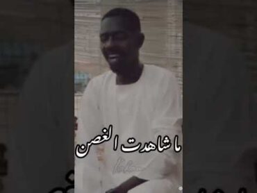 السودان الحقيبة كسلا