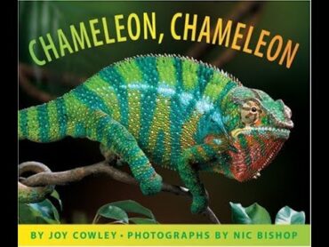 Chameleon, Chameleon by Joy Cowley and Photographs by Nic Bishop