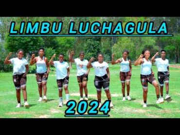 LIMBU LUCHAGULA HARUSI KWA MKUNGILA AUDIO  4K  2024