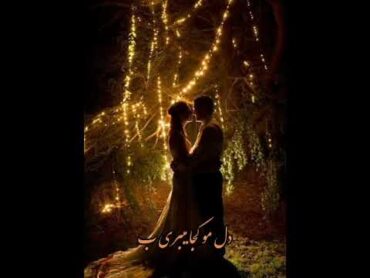 دل برم دیوان وار شدم عاشقت beautiful song 🎵❤️👩‍❤️‍👨