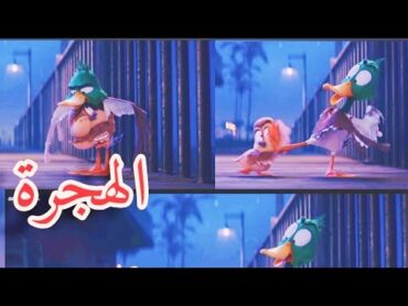 migration    فيلم الهجرة مدبلج مصري تحفة ❤️ الهجرة 🦆    🦆   شكلك متضايق وأنت محتاج حضن🦆🦆