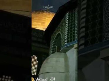 تحن الروح للاوطان لأقصى وللقدس🥺اللهم حرر المسجد الأقصى🤲🥰