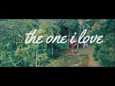 Diamond platinumz new song The one I love (original  lyric)