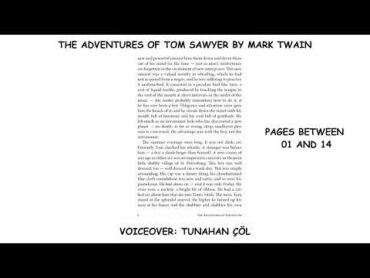 TOM SAWYER 114 PAGES