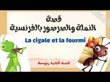 قصة النملة والصرصور la cigale et la fourmi (تعبير كتابي+  حوار مصور قصير ) للسنة الثانية متوسط