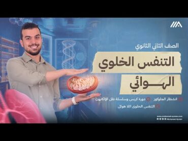 إنشطار الجلوكوز ودورة كربس وسلسلة نقل الإلكترونالمحاضرة قبل الأخيرة 2 ثانوى👀🧡