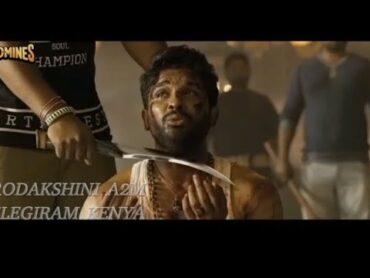 filmi hindi Afaan Oromotin hikame allu arjun Ramulo ramula