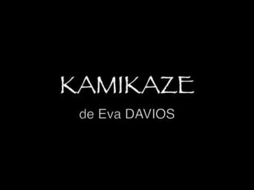 Book Trailer Kamikaze