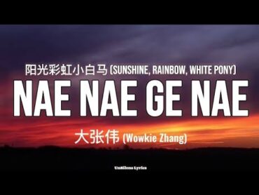 "Nae Nae Ge Nae Nae"  Wowkie Zhang  Sunshine, Rainbow, White Pony (Easy Lyric Video)