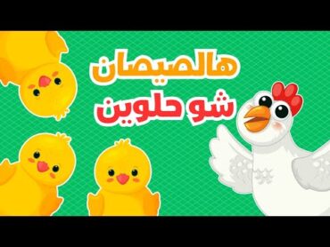 هالصيصان شو حلوين 🐥الجديدة  مكررة  قناة داني تي في