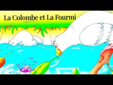 La Colombe 🕊️ et La Fourmi 🐜 الحمامة و النملة