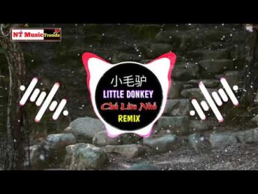 宝宝巴士  小毛驴 (DJ弹鼓版) Little Donkey (Chú Lừa Nhỏ) Remix Tiktok  ProgHouse 2K20弹  China Mix Cute Song