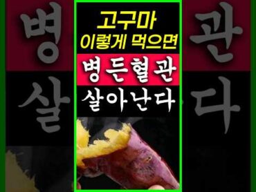 고구마 이렇게 먹으면 병든혈관살아난다 고구마효능 고구마먹는법 고구마껍질효능 건강정보 건강음식