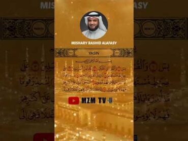 SURAH YASIN  MISHARY RASHID ALAFASY surahalquran surahyasin misharyrashidalafasy mzmtv