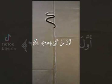 سورة:طه 🌹 القارئ: أحمد خضر 🤍