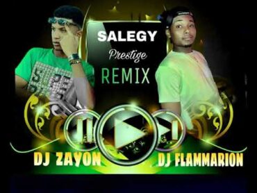 DJ FLAMMARION ft DJ ZAYON salegy prestige (REMIX) 2024