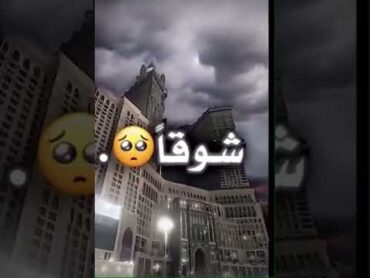 تصميم/رقت عيناي شوقاً