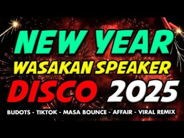 NEW YEAR 2025 DISCO WASAKAN NG SPEAKER  2025 YEAR END DISCO MIXTAPE