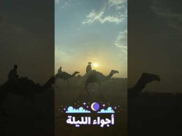 مهرجان مزاين الابل بحائل 1443بمحافظة القاعد